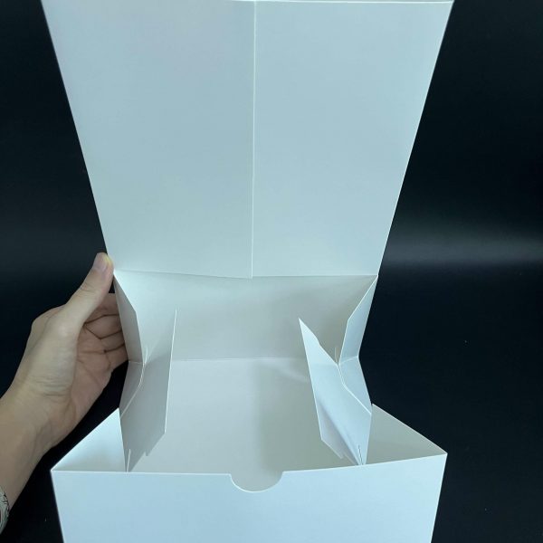 PAJBOX (5)
