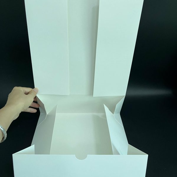 CAJA DE TARTA (5)