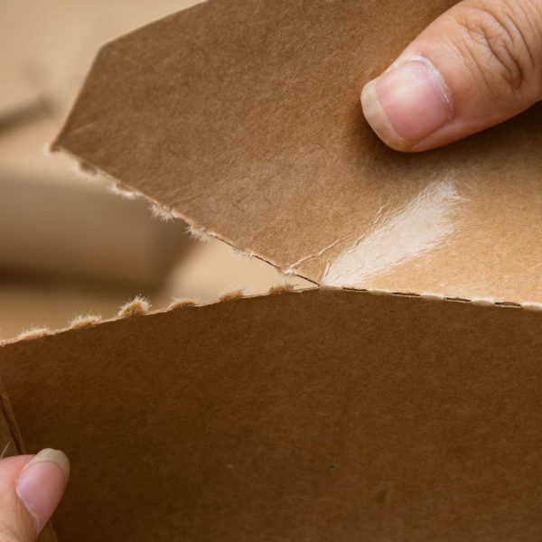 Paper Meall BOX (4)