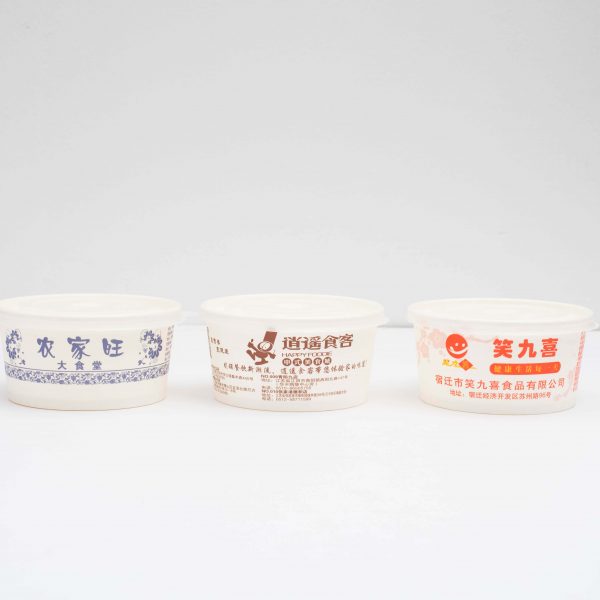 Paper Soup Bowl (3)