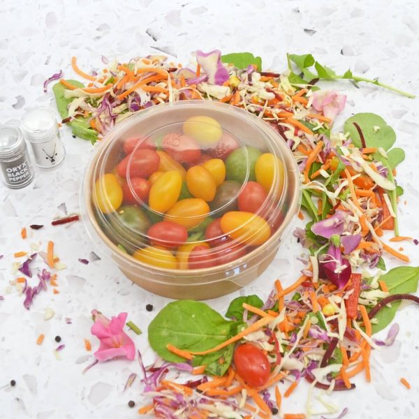 paper salad bowl (3)