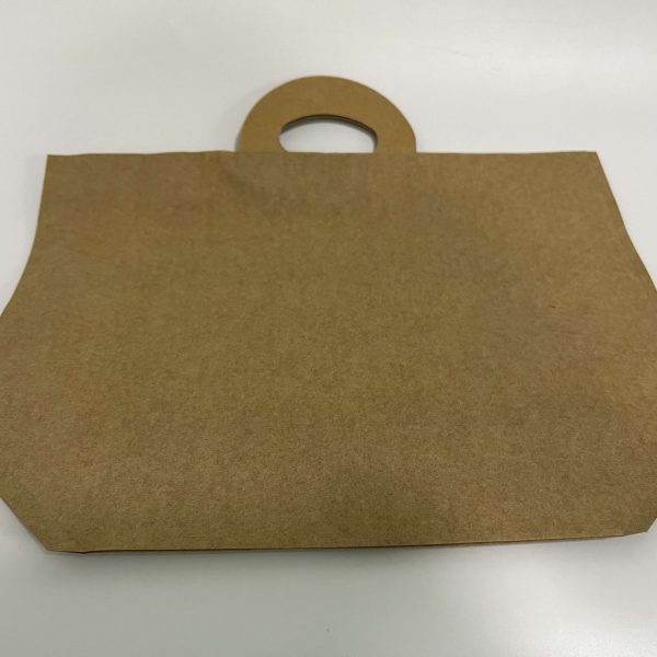 brown water proof paper bag (3)