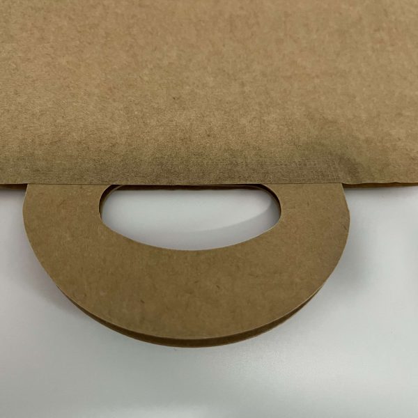 brown water proof paper bag (5)